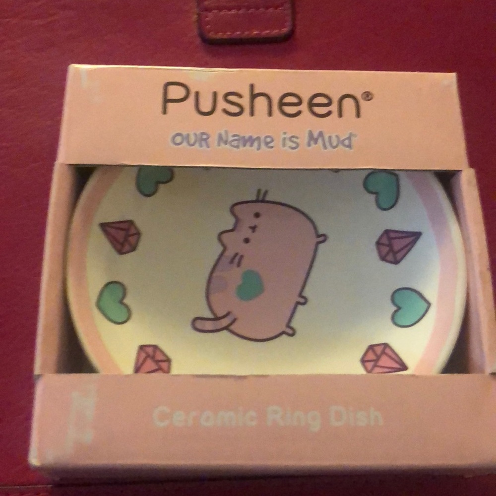 Pusheen the cat ring tray